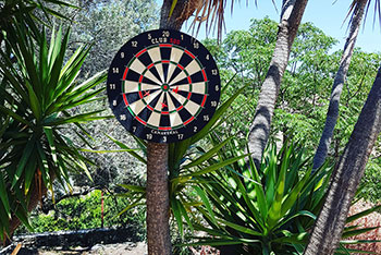 Στόχος για darts στον κήπο
